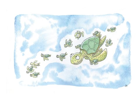 Aquarelle : une tortue de mer nage dans une eau bleu clair, suivie d’une ribambelle de bébés tortues.