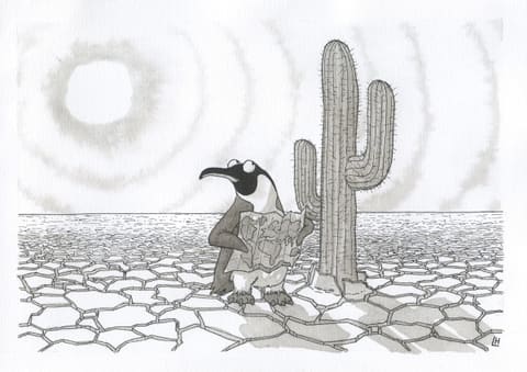 Dessin à l’encre : un manchot consulte une carte, perdu dans un désert de terre craquelée à côté d’un grand cactus.