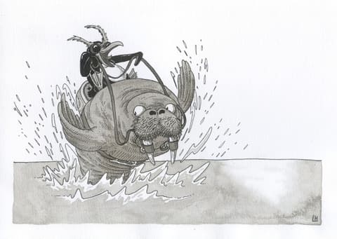 Dessin à l’encre : un scarabée monté en selle sur un morse qui jaillit de l’eau dans les éclaboussures.