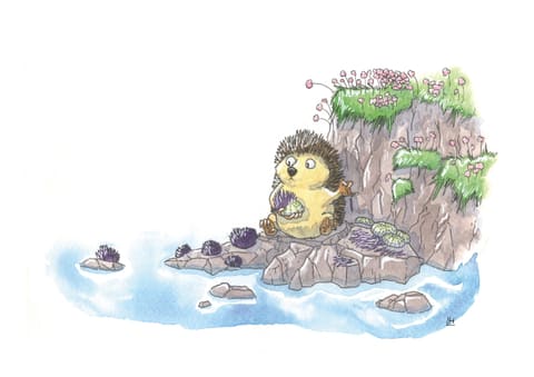 Aquarelle : sur un rocher fleuri du bord de mer, un hérisson amoureux serre un oursin dans ses bras.