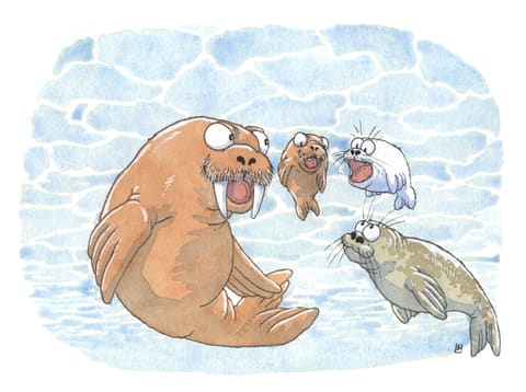 Aquarelle : un morse, deux phoques et un bébé phoque se font face sous l’eau, l’air surpris.