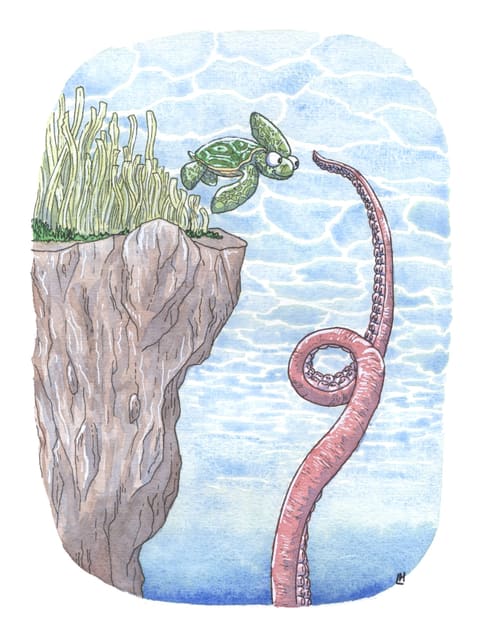 Aquarelle : au bord d’une falaise sous-marine couverte d’algues, une tortue de mer découvre le bout d’un immense tentacule surgi des profondeurs.