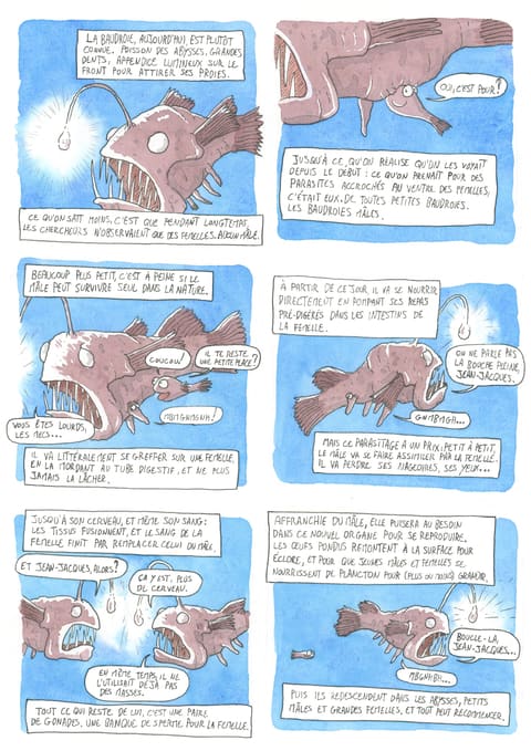 Bizanimaleries — N° 1 · Baudroie