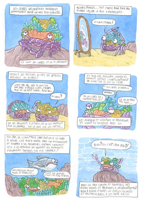 Bizanimaleries — N° 2 · Crabe décorateur