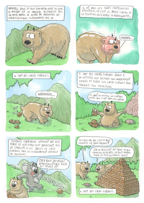 Bizanimaleries — N° 4 · Wombat