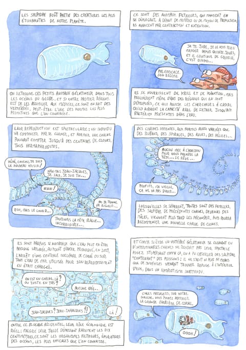 Bizanimaleries — N° 6 · Salpidae
