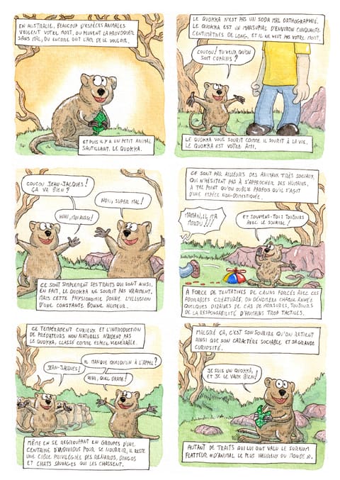 Bizanimaleries — N° 9 · Quokka
