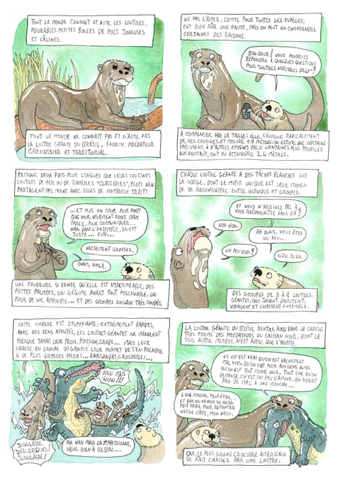 Bizanimaleries — N° 15 · Loutre géante du Brésil