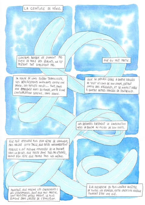 Bizanimaleries — N° 20 · Ceinture de Vénus