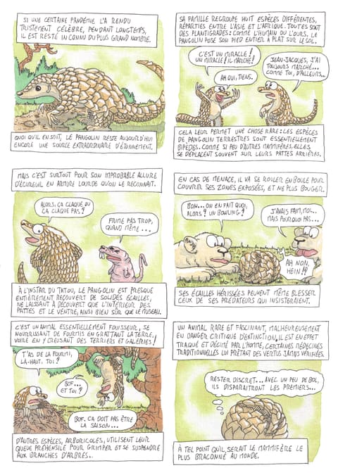 Bizanimaleries — N° 27 · Pangolin