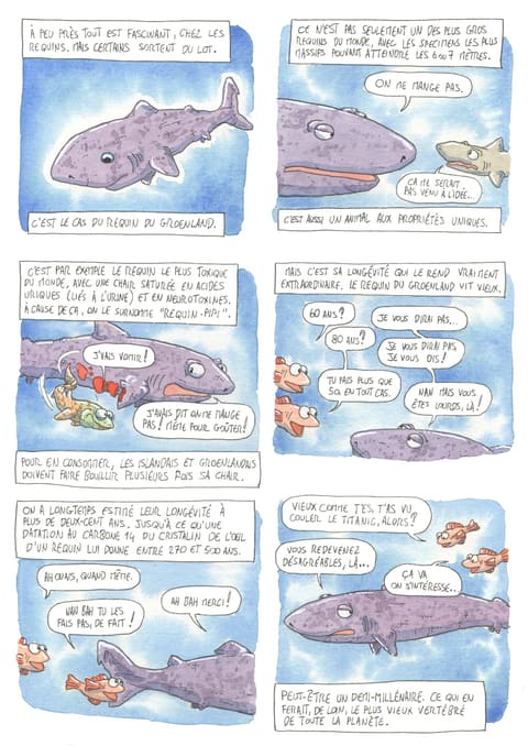 Bizanimaleries — N° 28 · Requin du Groenland