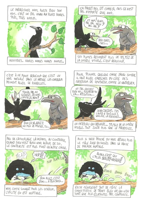 Bizanimaleries — N° 29 · Paradisier noir