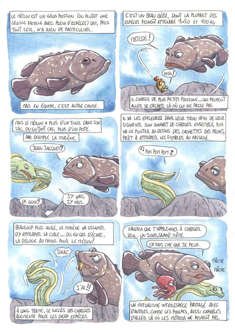 Bizanimaleries — N° 31 · Mérou et murène