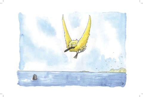 Lever l’encre : carnet de transatlantique — Page 7