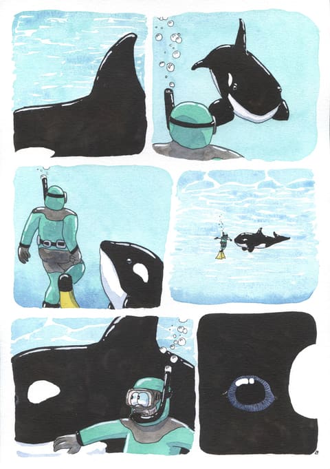 L’œil de l’orque — Planche 2