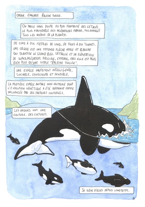 L’œil de l’orque — Planche 6