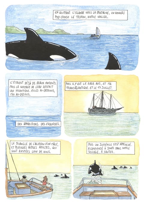 L’œil de l’orque — Planche 9