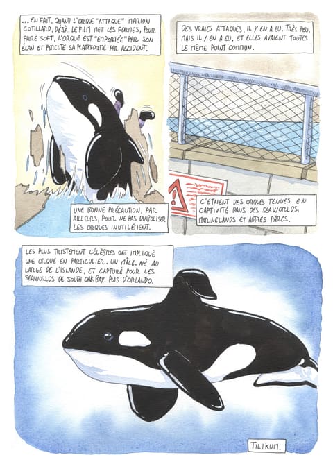 L’œil de l’orque — Planche 13