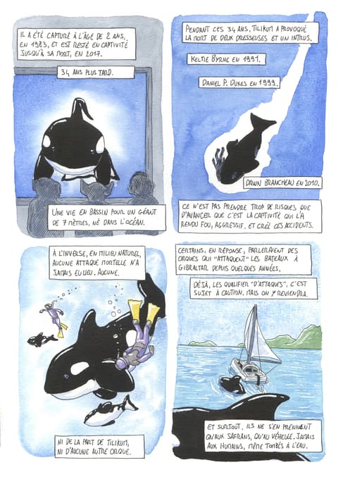 L’œil de l’orque — Planche 14
