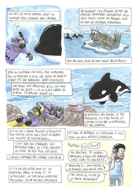 L’œil de l’orque — Planche 15