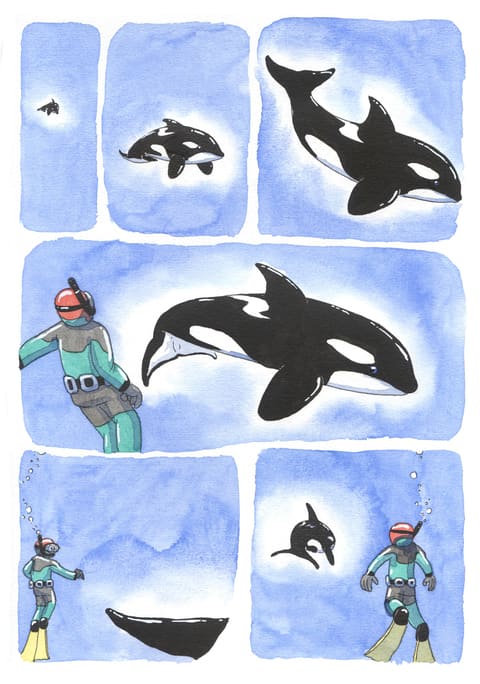 L’œil de l’orque — Planche 38