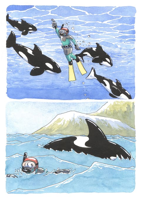 L’œil de l’orque — Planche 40