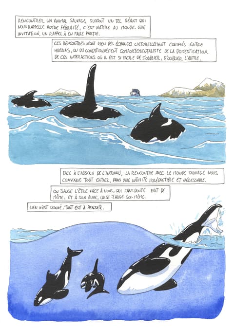 L’œil de l’orque — Planche 42