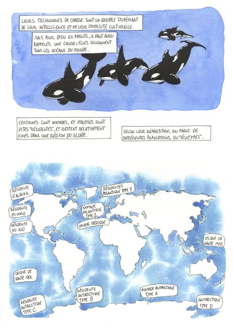 L’œil de l’orque — Planche 45