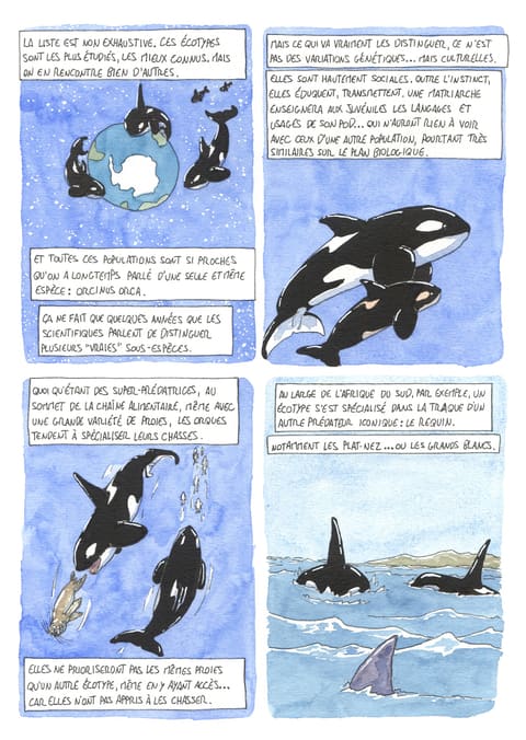 L’œil de l’orque — Planche 46
