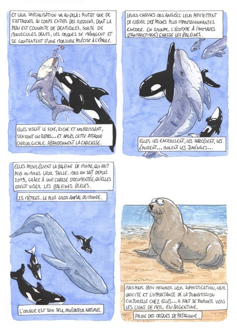 L’œil de l’orque — Planche 47