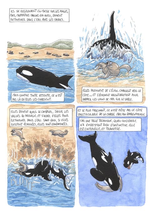 L’œil de l’orque — Planche 48
