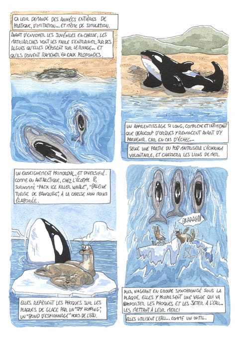 L’œil de l’orque — Planche 49