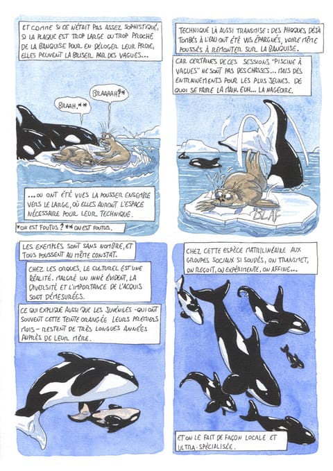 L’œil de l’orque — Planche 50