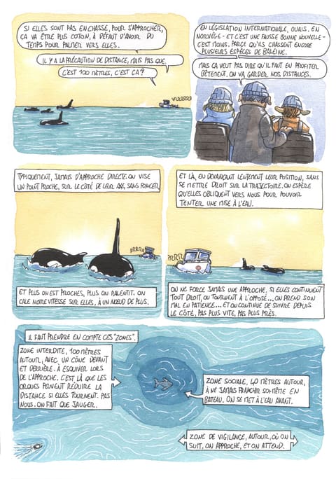 L’œil de l’orque — Planche 52