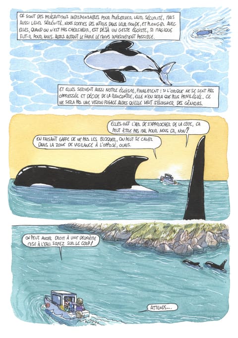 L’œil de l’orque — Planche 53
