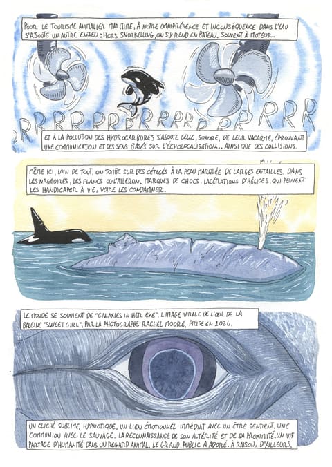 L’œil de l’orque — Planche 71