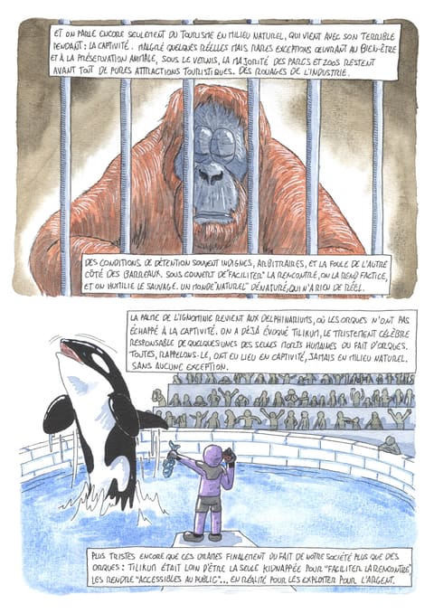 L’œil de l’orque — Planche 73