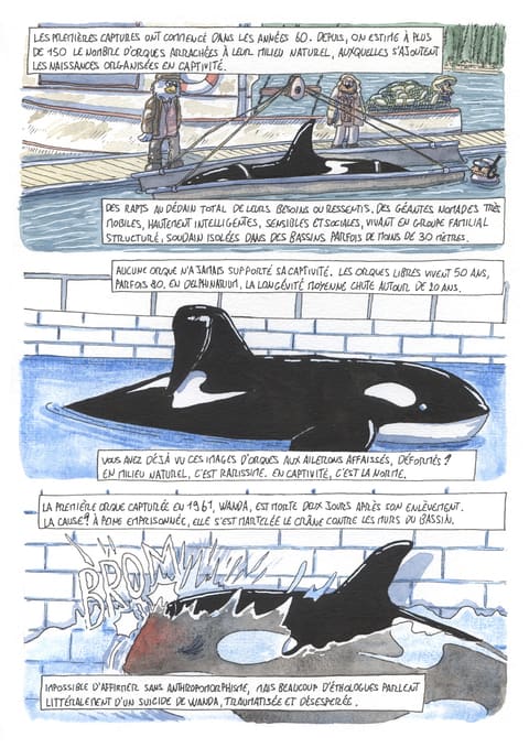 L’œil de l’orque — Planche 74