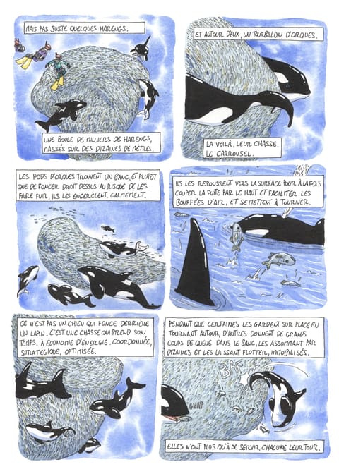L’œil de l’orque — Planche 83