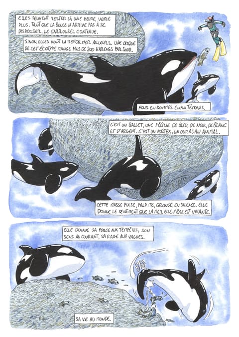 L’œil de l’orque — Planche 84