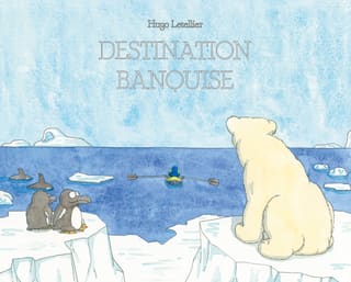 Couverture de Destination banquise : assis sur la glace, un ours polaire regarde un navigateur ramer entre les icebergs, sous l’œil de deux pingouins.